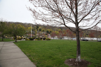 Enlarge photo 41