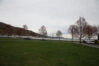 Enlarge photo 44