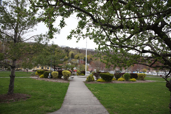 Enlarge photo 45