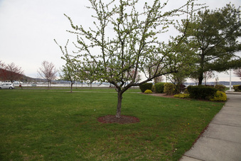 Enlarge photo 52