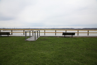 Enlarge photo 105