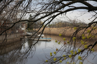 Enlarge photo 118