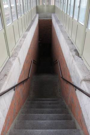 Enlarge photo 37