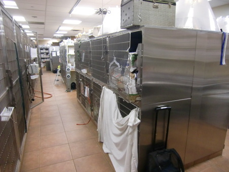 Enlarge photo 34