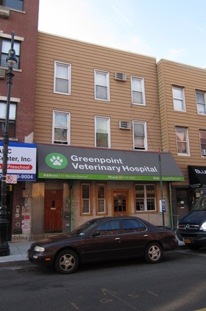 Greenpoint Veterinary Clinic