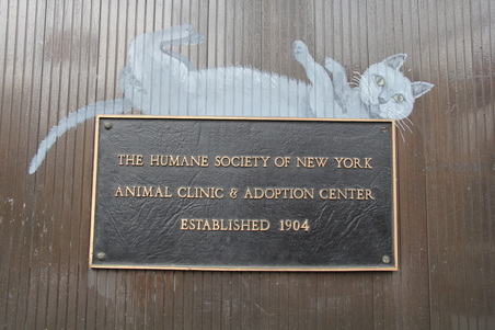 Humane Society of New York