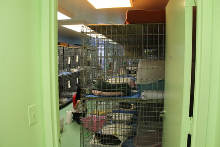 Enlarge photo 39