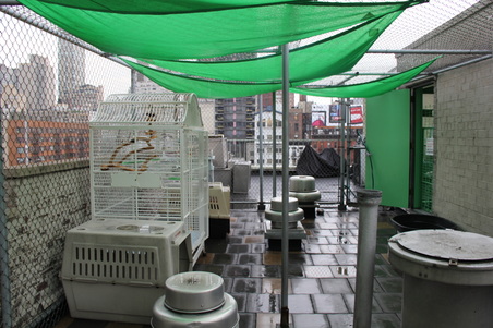 Enlarge photo 56