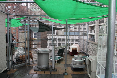 Enlarge photo 57