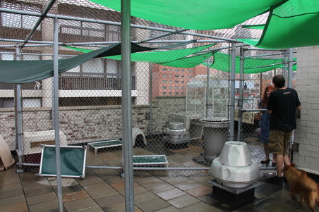 Enlarge photo 60