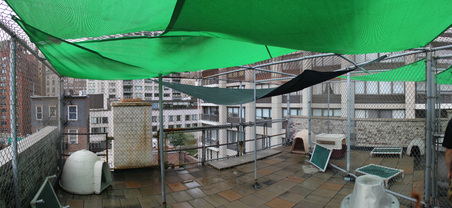 Enlarge photo 61