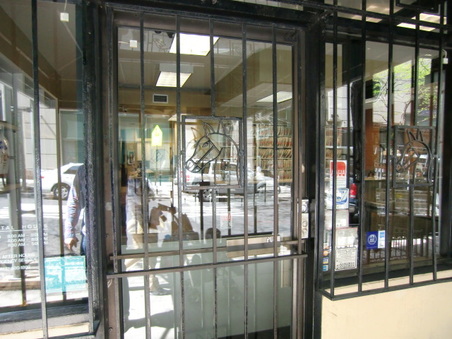 Enlarge photo 41