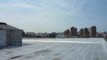 Enlarge photo 54