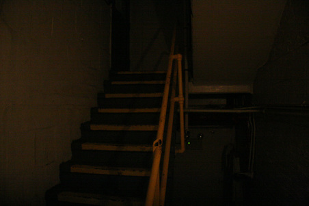Enlarge photo 67