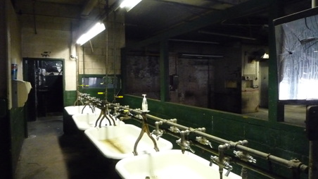 Enlarge photo 28