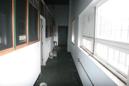 Enlarge photo 71