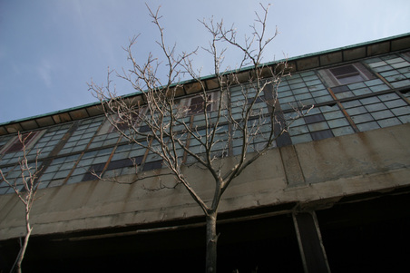 Enlarge photo 27
