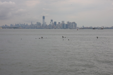 Enlarge photo 10