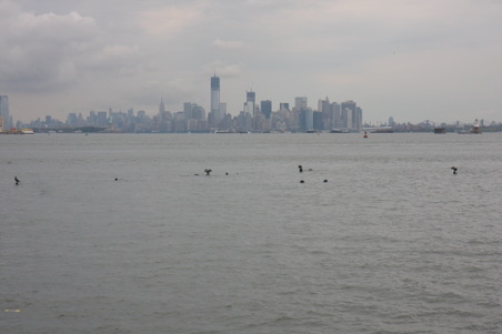 Enlarge photo 11