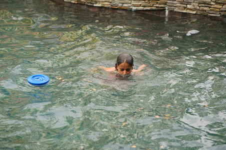 Enlarge photo 74
