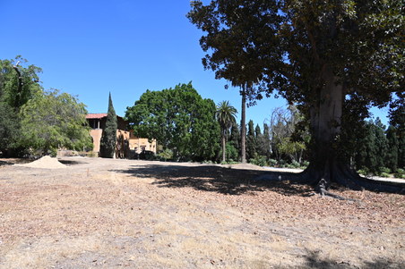 Enlarge photo 36