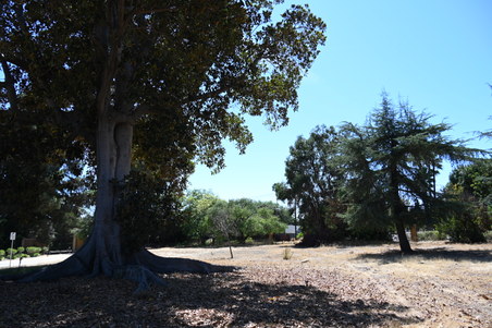 Enlarge photo 37