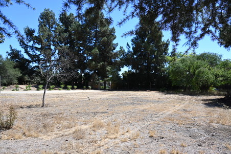 Enlarge photo 33