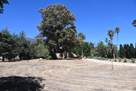 Enlarge photo 31