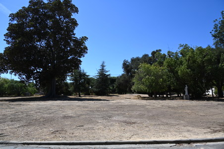 Enlarge photo 25
