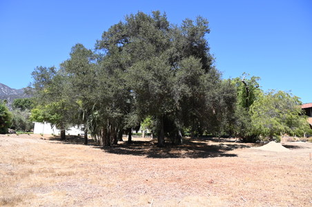 Enlarge photo 34