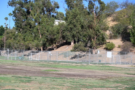 Enlarge photo 16