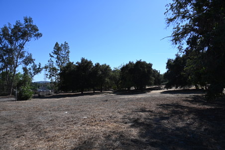 Enlarge photo 43