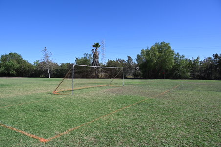 Enlarge photo 25