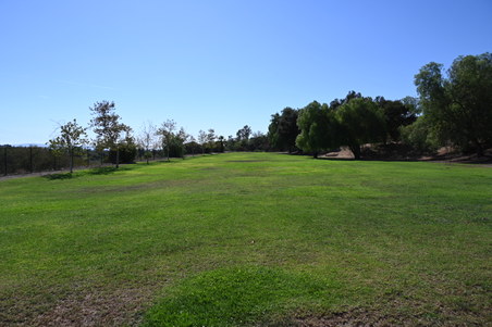 Enlarge photo 40