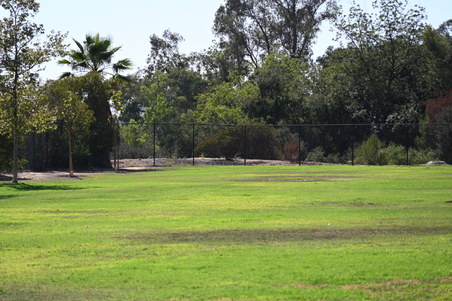 Enlarge photo 41
