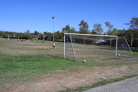 Enlarge photo 36
