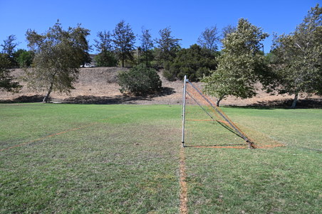 Enlarge photo 28