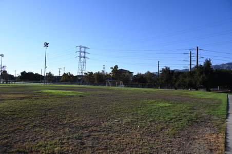 Enlarge photo 40