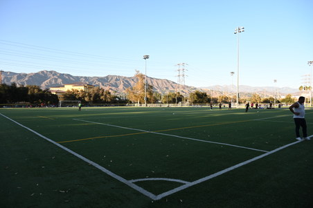 Enlarge photo 67