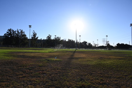 Enlarge photo 41
