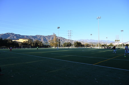 Enlarge photo 65