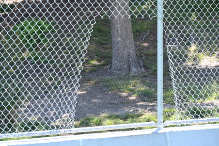 Enlarge photo 37