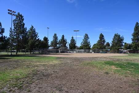 Enlarge photo 46