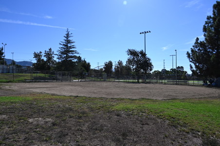 Enlarge photo 44