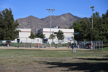 Enlarge photo 41