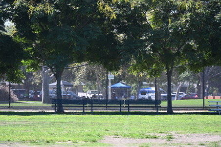 Enlarge photo 28