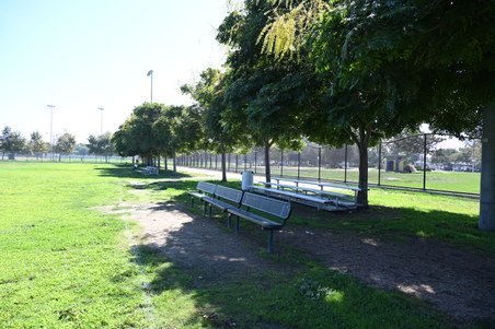 Enlarge photo 16