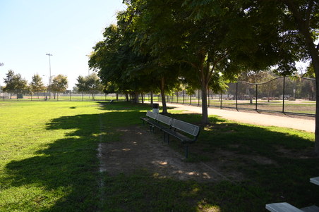 Enlarge photo 12
