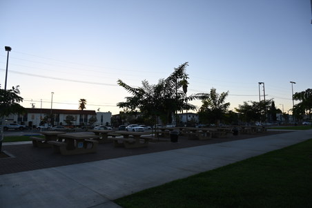Enlarge photo 28
