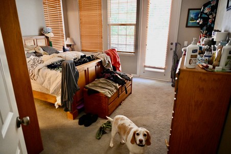 Enlarge photo 11